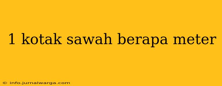 1 kotak sawah berapa meter
