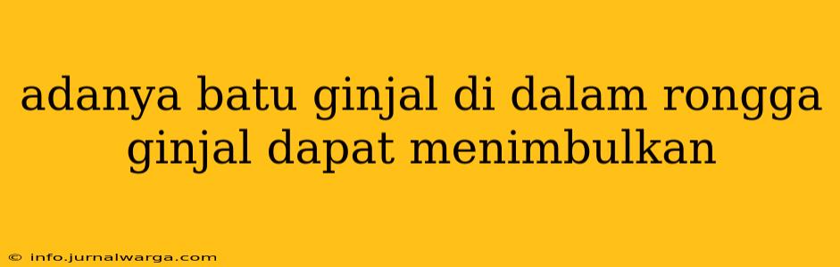 adanya batu ginjal di dalam rongga ginjal dapat menimbulkan