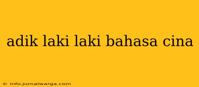 adik laki laki bahasa cina