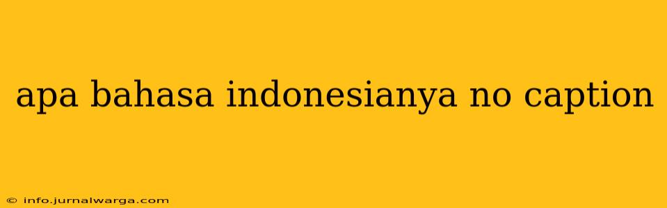 apa bahasa indonesianya no caption
