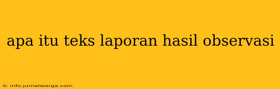 apa itu teks laporan hasil observasi