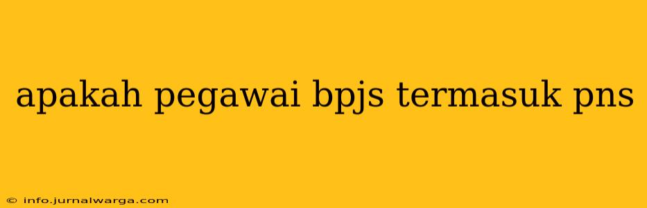 apakah pegawai bpjs termasuk pns