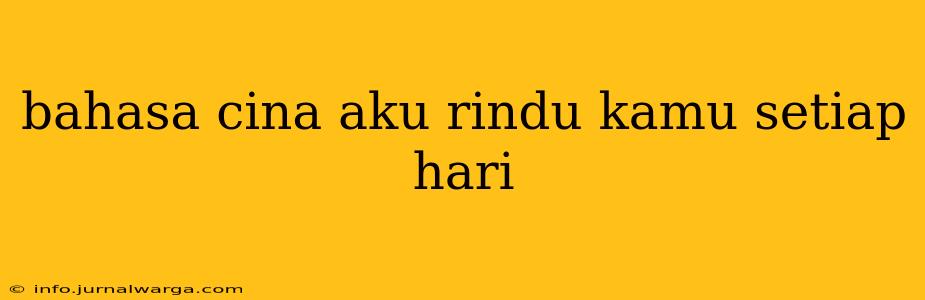 bahasa cina aku rindu kamu setiap hari
