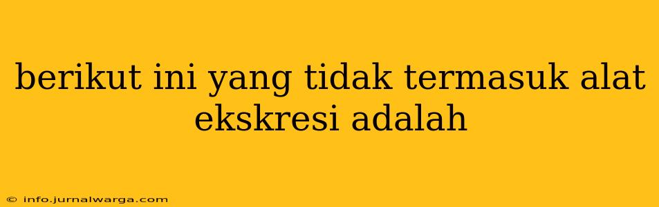 berikut ini yang tidak termasuk alat ekskresi adalah