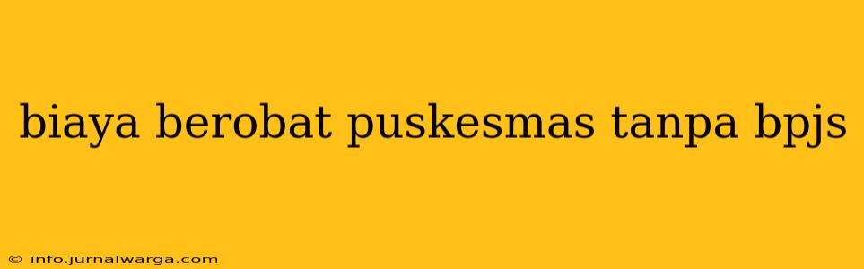 biaya berobat puskesmas tanpa bpjs