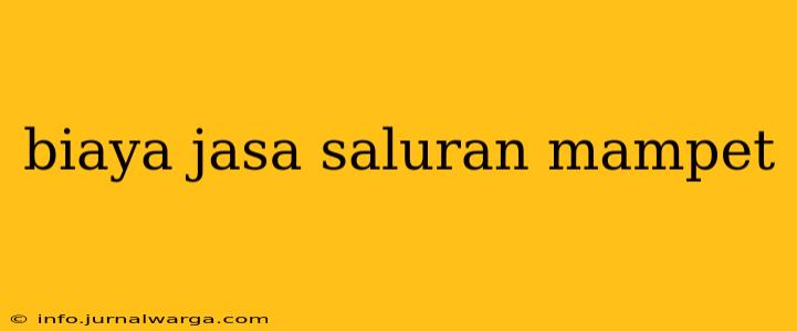 biaya jasa saluran mampet