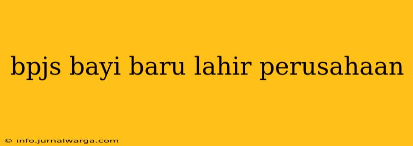 bpjs bayi baru lahir perusahaan