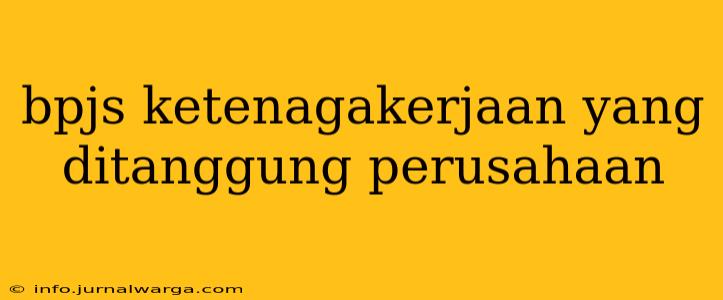 bpjs ketenagakerjaan yang ditanggung perusahaan