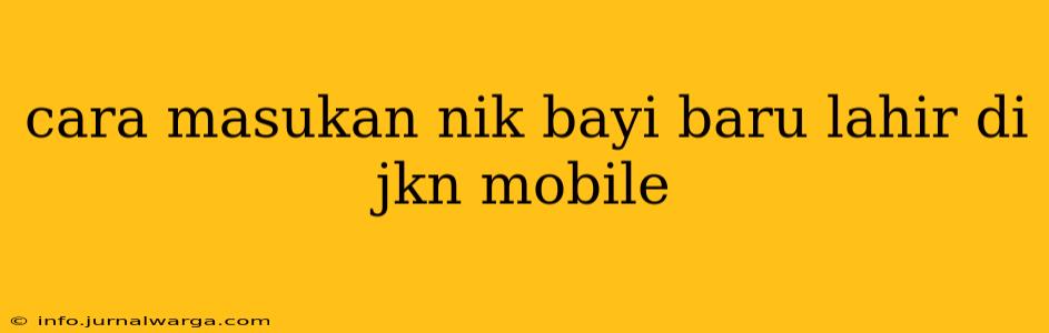 cara masukan nik bayi baru lahir di jkn mobile
