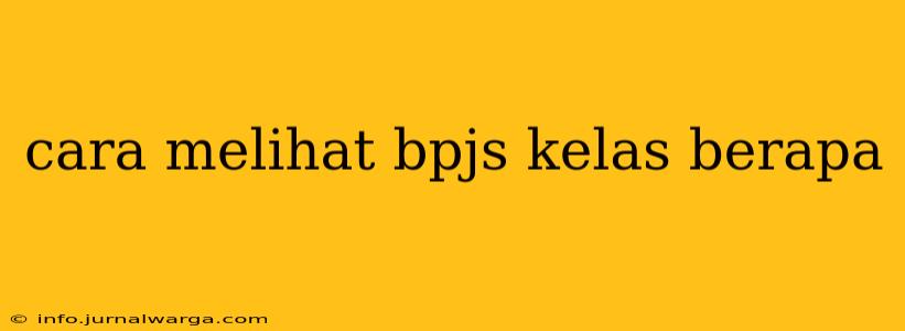 cara melihat bpjs kelas berapa
