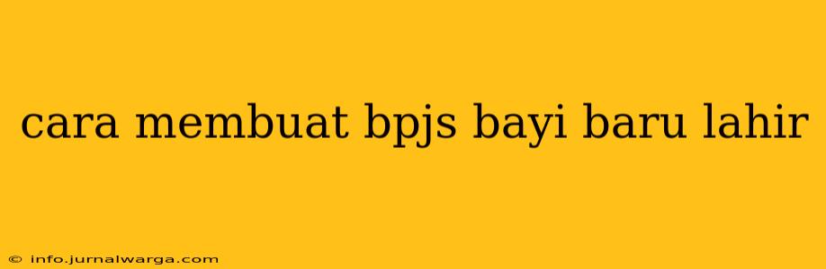cara membuat bpjs bayi baru lahir