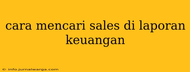 cara mencari sales di laporan keuangan