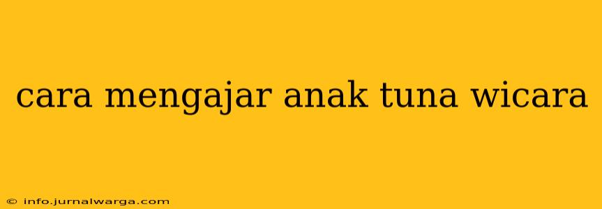 cara mengajar anak tuna wicara