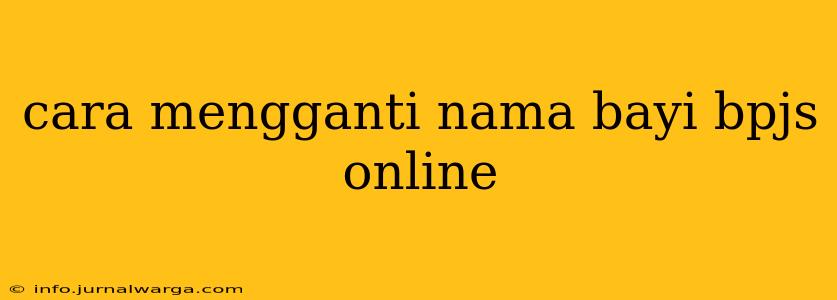 cara mengganti nama bayi bpjs online