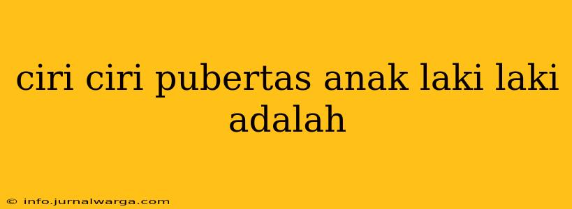 ciri ciri pubertas anak laki laki adalah