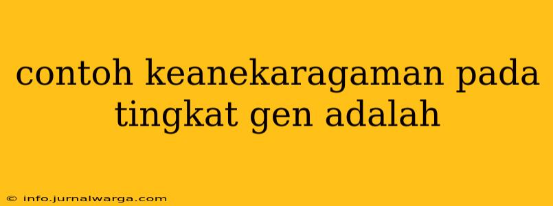contoh keanekaragaman pada tingkat gen adalah