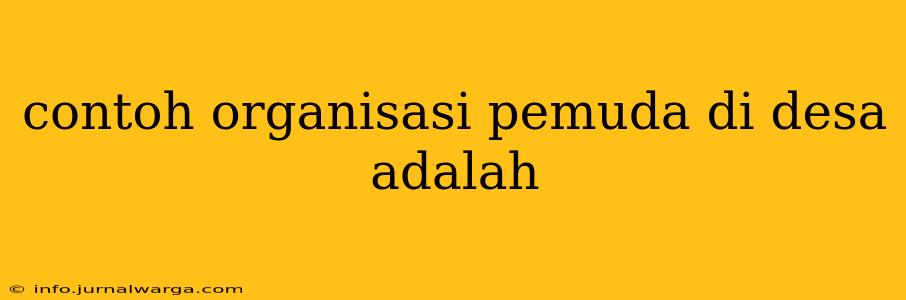 contoh organisasi pemuda di desa adalah