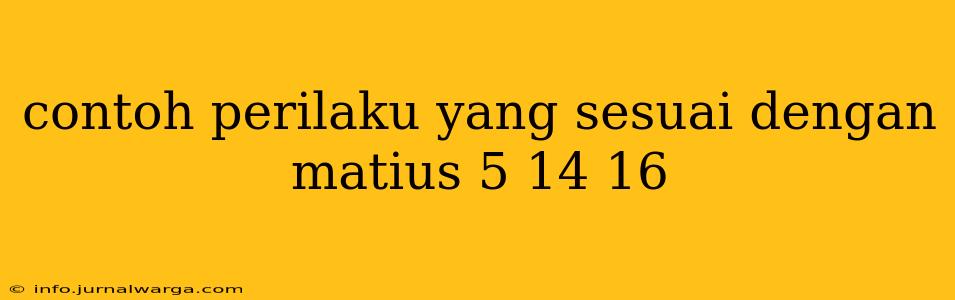 contoh perilaku yang sesuai dengan matius 5 14 16