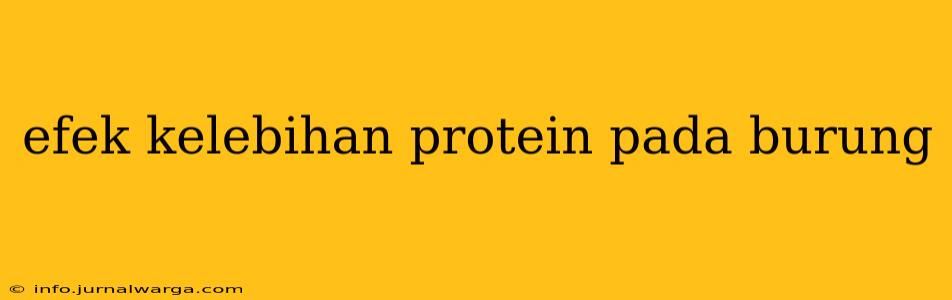 efek kelebihan protein pada burung