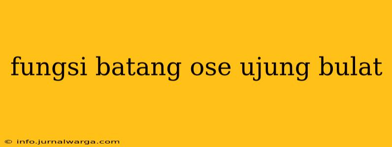 fungsi batang ose ujung bulat