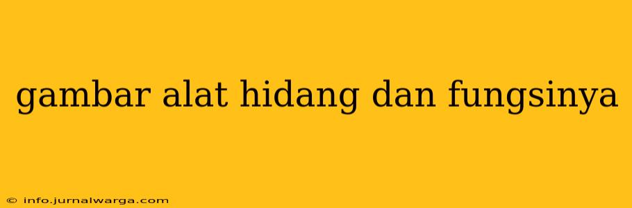 gambar alat hidang dan fungsinya