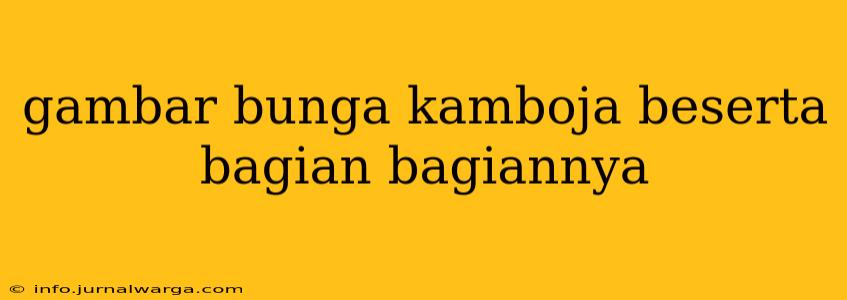 gambar bunga kamboja beserta bagian bagiannya