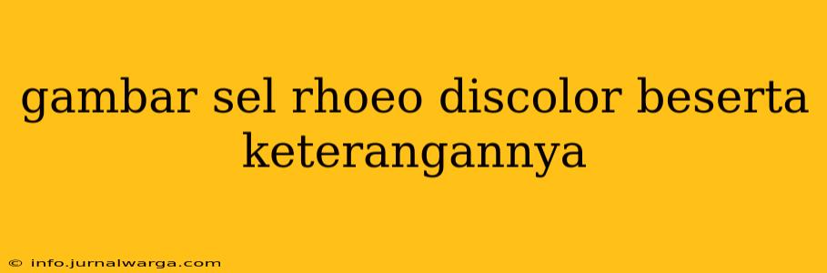 gambar sel rhoeo discolor beserta keterangannya