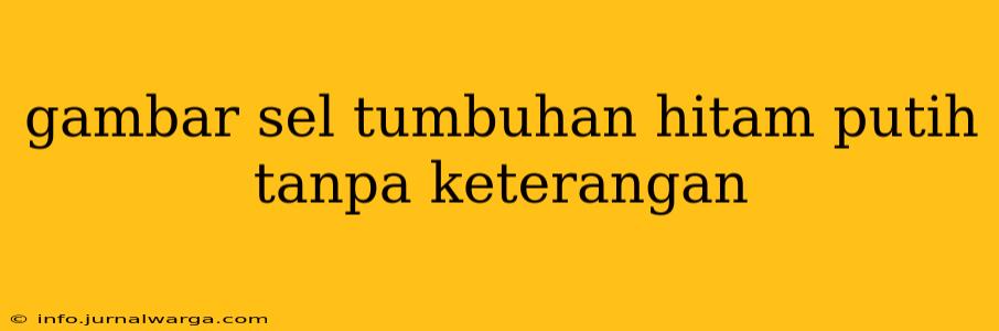 gambar sel tumbuhan hitam putih tanpa keterangan