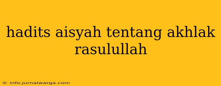 hadits aisyah tentang akhlak rasulullah