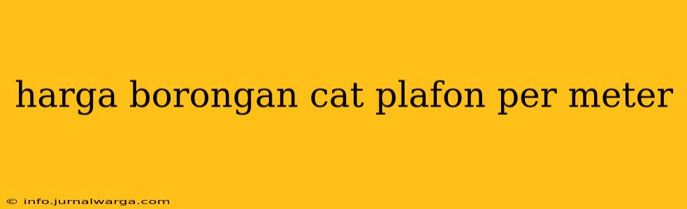 harga borongan cat plafon per meter