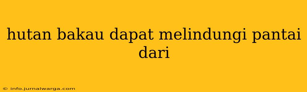 hutan bakau dapat melindungi pantai dari