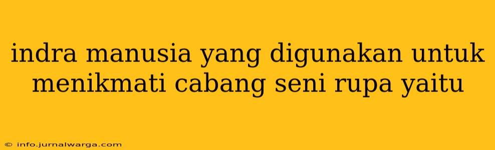 indra manusia yang digunakan untuk menikmati cabang seni rupa yaitu