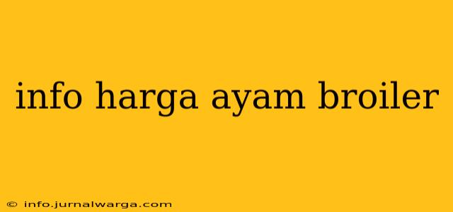 info harga ayam broiler