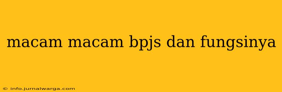 macam macam bpjs dan fungsinya