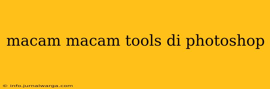 macam macam tools di photoshop