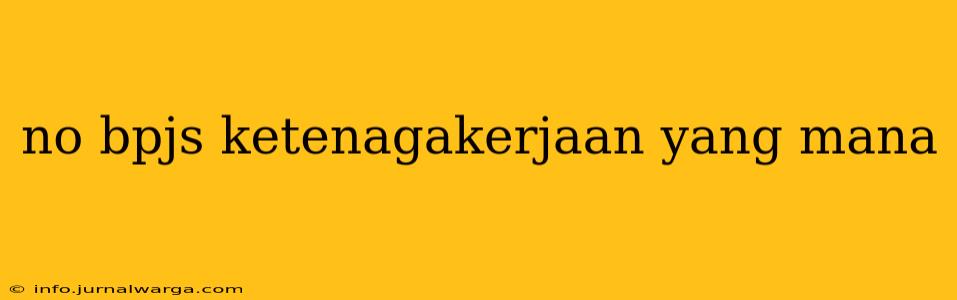 no bpjs ketenagakerjaan yang mana