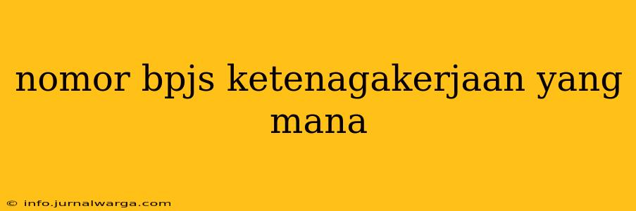 nomor bpjs ketenagakerjaan yang mana