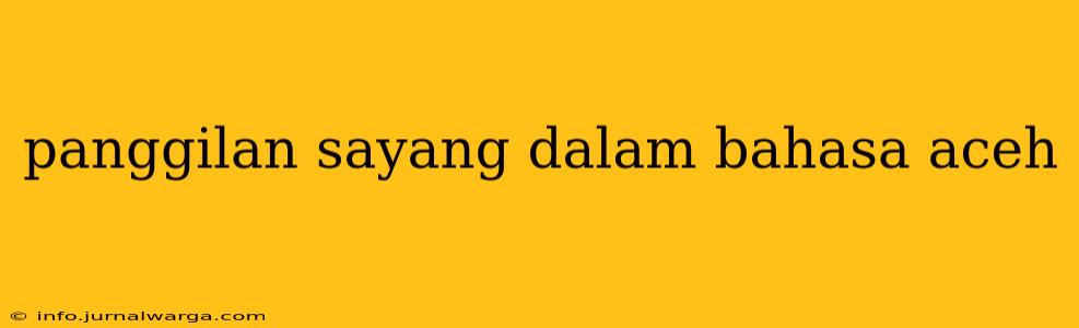 panggilan sayang dalam bahasa aceh