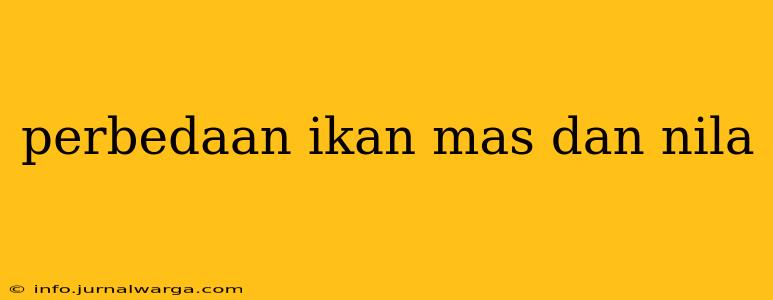 perbedaan ikan mas dan nila