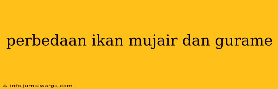 perbedaan ikan mujair dan gurame