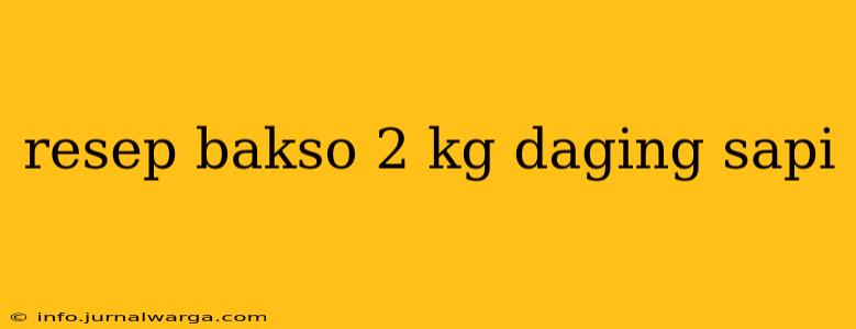 resep bakso 2 kg daging sapi