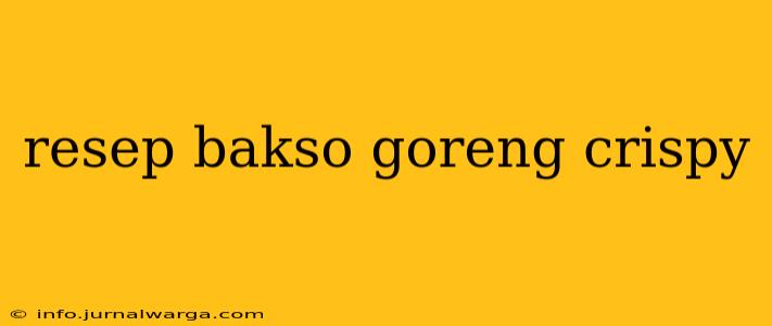 resep bakso goreng crispy