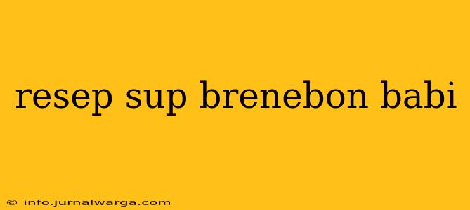 resep sup brenebon babi
