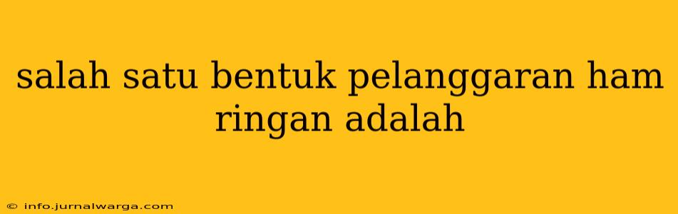 salah satu bentuk pelanggaran ham ringan adalah
