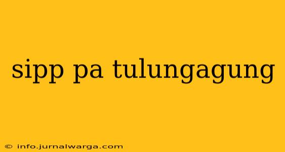 sipp pa tulungagung