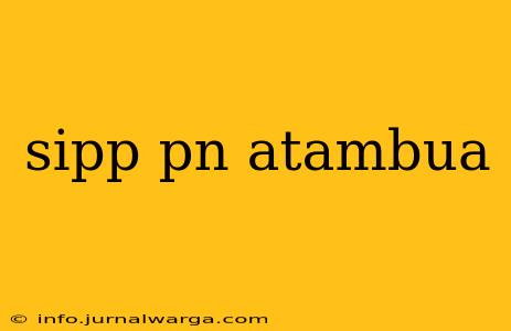 sipp pn atambua