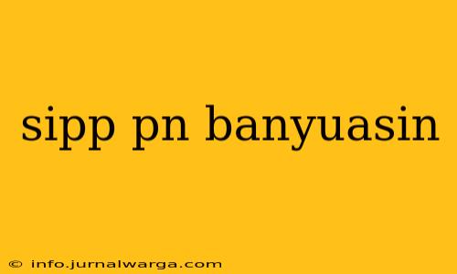 sipp pn banyuasin
