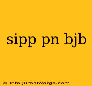 sipp pn bjb