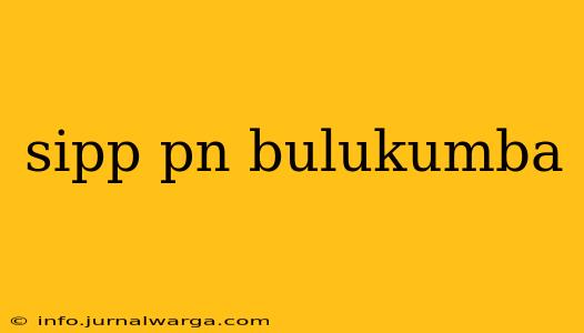 sipp pn bulukumba