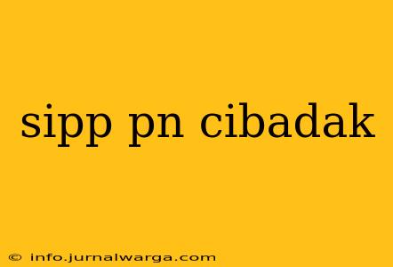 sipp pn cibadak